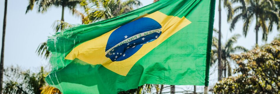a flag flying in the wind with palm trees in the background